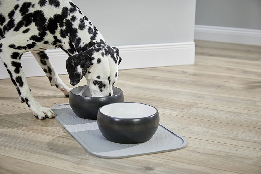 Wolters Diner Colour 7 Wolters Diner Colour – Bild 5