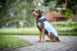 Wolters Regenjacke Easy Rain -Wuff Wohnen Verkäufe Wolters Easy Rain blau Mood IV web HC3A4ndler