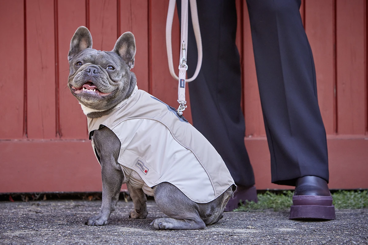 Wolters Regenjacke Easy Rain Für Mops&Co. 4 Wolters Regenjacke Easy Rain Für Mops&Co. – Bild 2