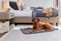 Wolters Green Line Reisedecke 100 X 70cm Steingrau 11 Wolters Green Line Reisedecke 100 X 70cm Steingrau -Wuff Wohnen Verkäufe Wolters Green Line Reisedecke VI web