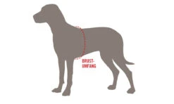 Wolters Strickpullover Security Schwarz 12 Wolters Strickpullover Security Schwarz -Wuff Wohnen Verkäufe Wolters MaC39Fe Brustumfang Hund 12