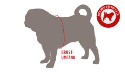 Wolters Parka Mit Fellkragen Für Mops&Co. -Wuff Wohnen Verkäufe Wolters MaC39Fe Brustumfang Mops