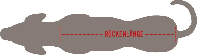 Wolters Zopf-Strickpullover Für Mops&Co. 5 Wolters Zopf-Strickpullover Für Mops&Co. – Bild 3