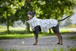 Wolters Outdoorjacke Camouflage -Wuff Wohnen Verkäufe Wolters Outdoorjacke Camouflage grau Mood IV web HC3A4ndler