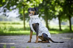 Wolters Outdoorjacke Camouflage -Wuff Wohnen Verkäufe Wolters Outdoorjacke Camouflage grau Mood II web HC3A4ndler