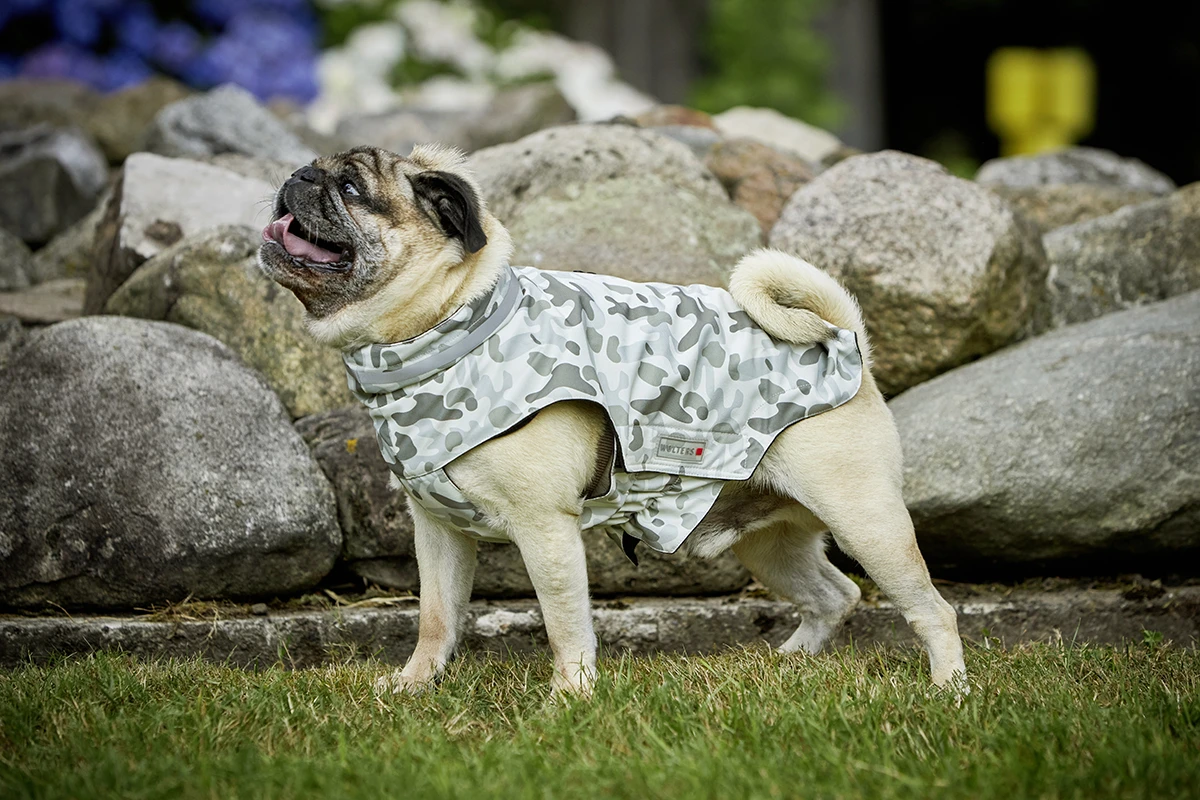 Wolters Outdoorjacke Camouflage Für Mops & Co. 4 Wolters Outdoorjacke Camouflage Für Mops & Co. – Bild 2