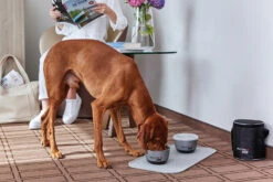 Wolters Diner TO GO 2 X 750ml Grau -Wuff Wohnen Verkäufe Wolters Pressebild Diner to Go web