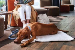 Wolters Reisedecke Vagabund Mit Schaffell-Imitation -Wuff Wohnen Verkäufe Wolters Pressebild Vagabund web