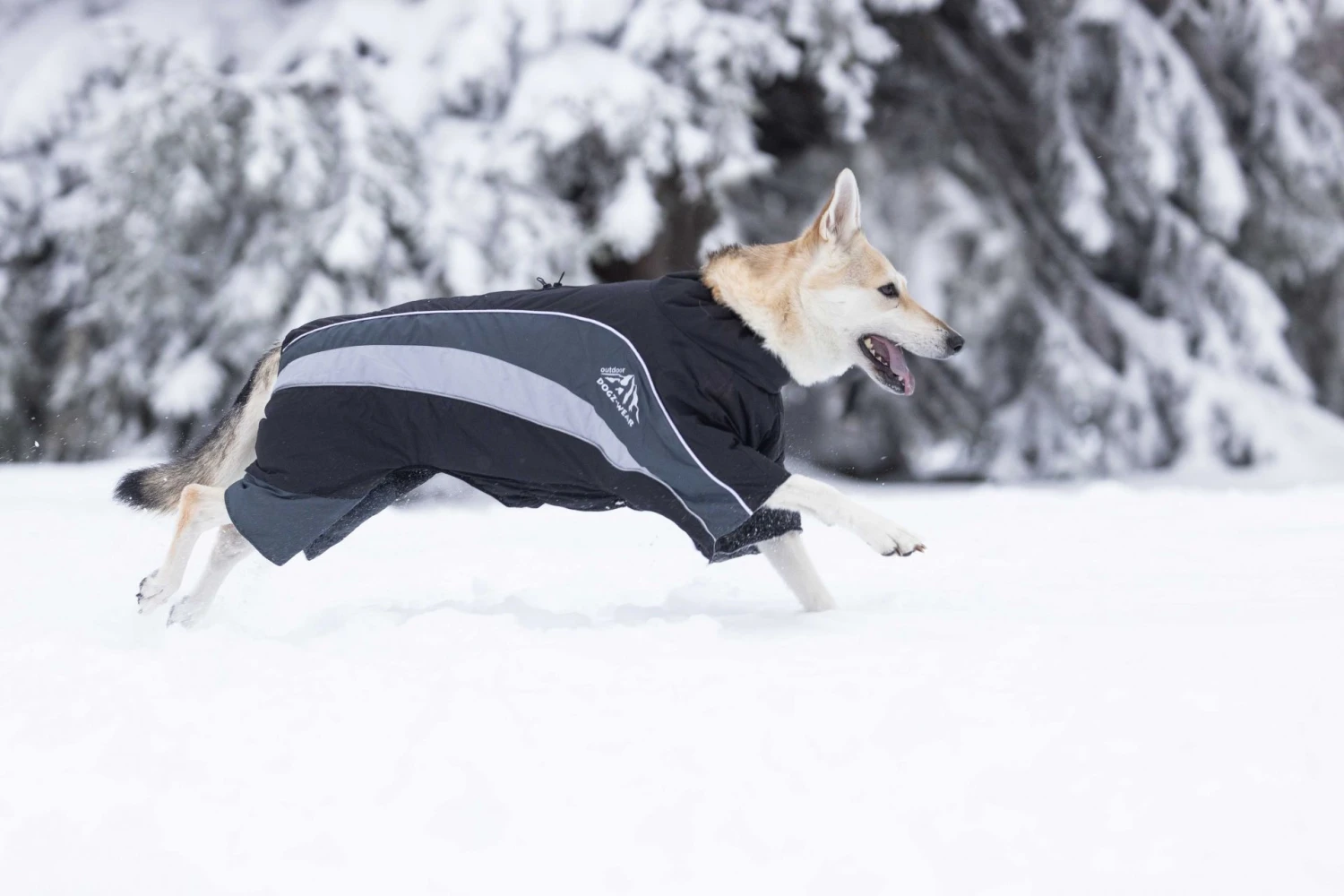 Wolters Skianzug Dogz Wear Mit Wasserdichtem RV 4 Wolters Skianzug Dogz Wear Mit Wasserdichtem RV – Bild 2