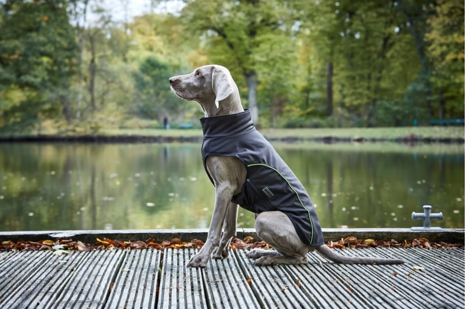 Wolters Softshell-Jacke Basic 4 Wolters Softshell-Jacke Basic – Bild 2