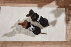 Wolters Strickpullover Security Schwarz 10 Wolters Strickpullover Security Schwarz -Wuff Wohnen Verkäufe Wolters Spider Security web 28129