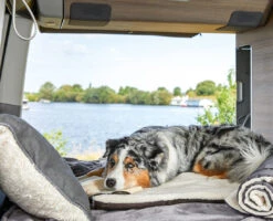 Wolters Reisedecke Vagabund Mit Schaffell-Imitation -Wuff Wohnen Verkäufe Wolters Vagabund Reisedecke II Camping web