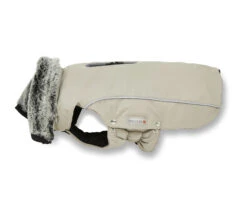 Wolters Winterjacke Amundsen Für Mops&Co.