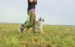 Petlando Mesh Verstellbare Führleine -Wuff Wohnen Verkäufe ZS9cxR2g