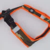 Zero DC Safety Kurzgeschirr Armee/neonorange 2 Zero DC Safety Kurzgeschirr Armee/neonorange -Wuff Wohnen Verkäufe ZeroDC Safety armee neonorange