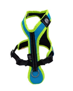 Zero DC Safety Kurzgeschirr Türkis/neongrün
