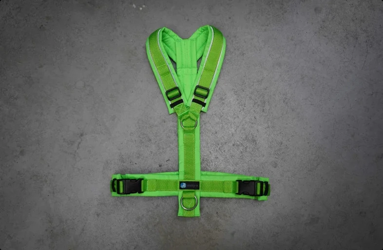 Annyx Geschirr Protect Leuchtgrün/hellgrün (Limited Edition) 3 Annyx Geschirr Protect Leuchtgrün/hellgrün (Limited Edition)