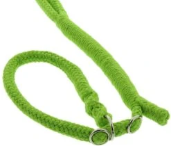 Dinoleine Retriever Baumwolle -Wuff Wohnen Verkäufe apfel2