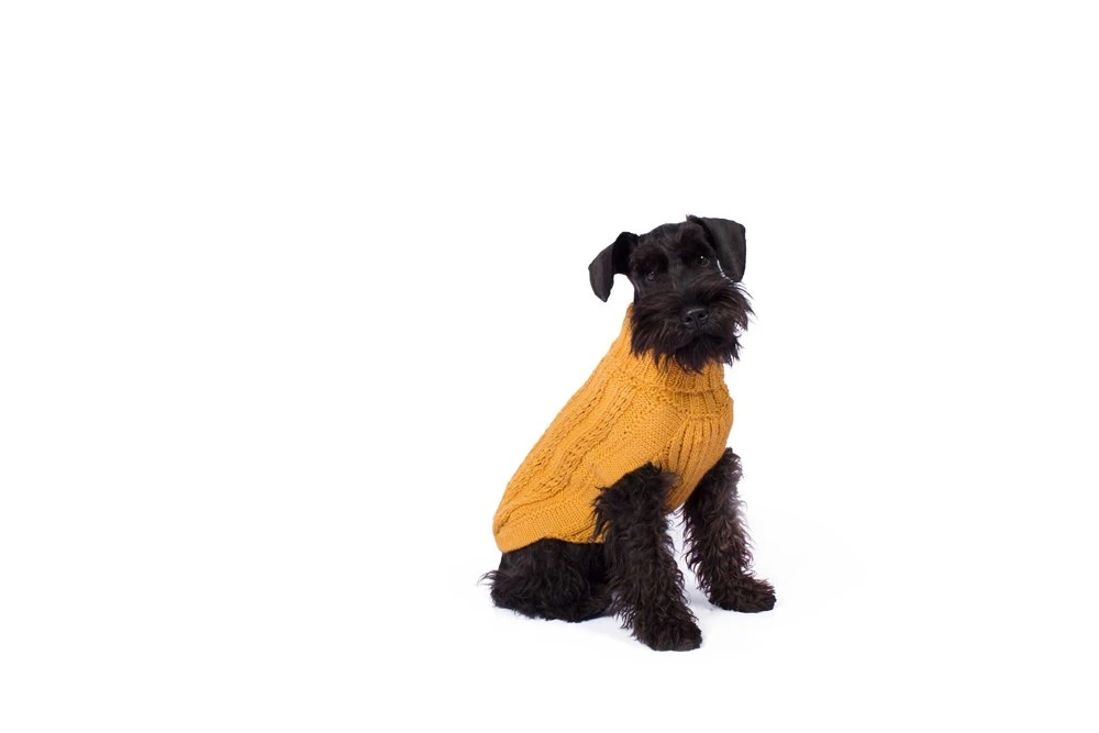 Alqo Wasi Hunde-Pullover Bohemian Cable Knit - Mustard 5 Alqo Wasi Hunde-Pullover Bohemian Cable Knit - Mustard – Bild 3