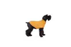 Alqo Wasi Hunde-Pullover Bohemian Cable Knit - Mustard 11 Alqo Wasi Hunde-Pullover Bohemian Cable Knit - Mustard -Wuff Wohnen Verkäufe bohemian knit mustard alqo wasi 04
