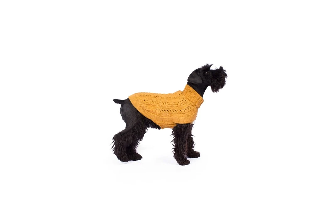 Alqo Wasi Hunde-Pullover Bohemian Cable Knit - Mustard 6 Alqo Wasi Hunde-Pullover Bohemian Cable Knit - Mustard – Bild 4