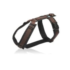 Annyx Geschirr Fun Schwarz / Braun