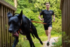 Non-stop Dogwear Bungee Leash 2.0 10 Non-stop Dogwear Bungee Leash 2.0 -Wuff Wohnen Verkäufe bungee leash setting emo01