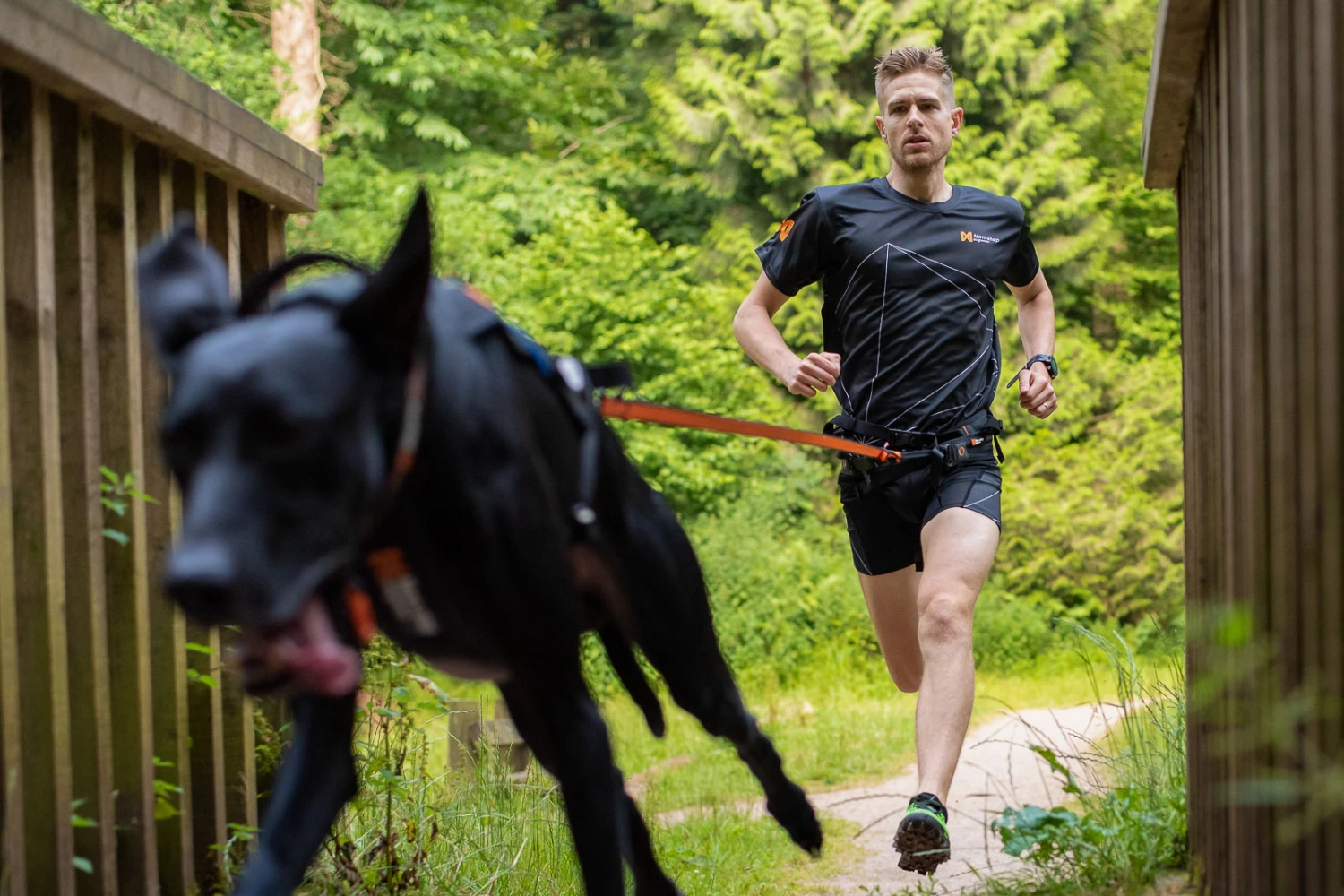 Non-stop Dogwear Bungee Leash 2.0 5 Non-stop Dogwear Bungee Leash 2.0 – Bild 3