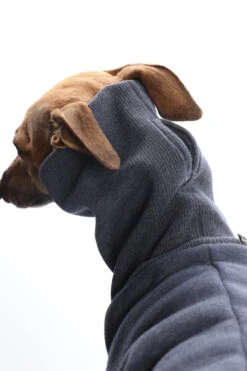 DG DogGear Basic Winter Sweatshirt - L1 - Schwarz -Wuff Wohnen Verkäufe c3d6b9c451e77df8c7830090492dcb76