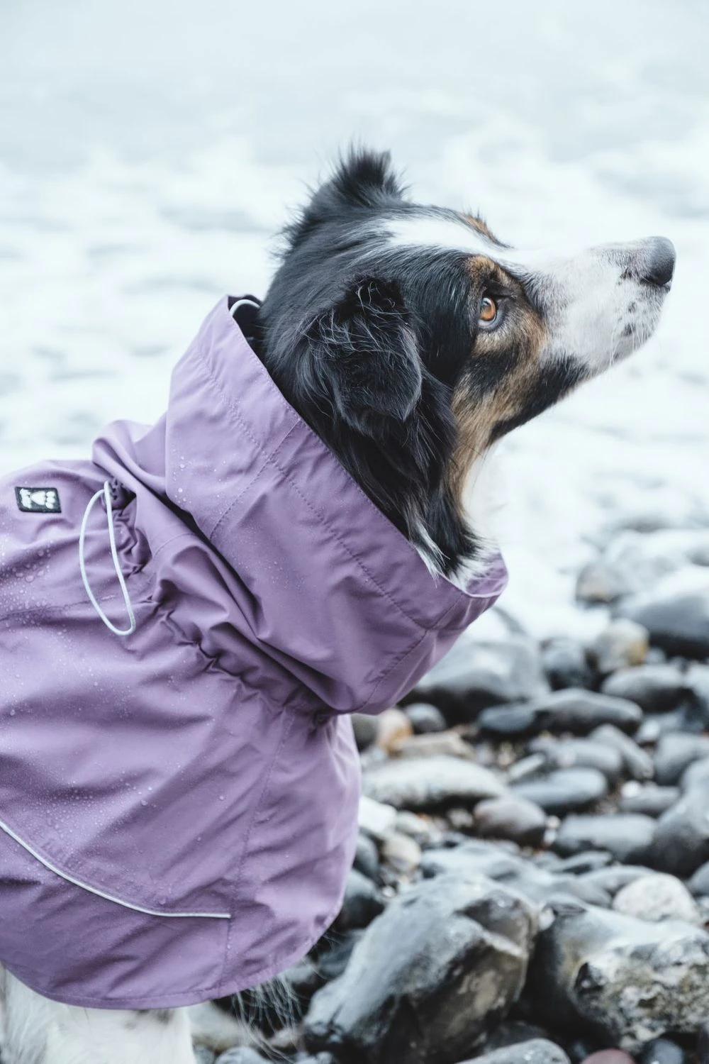 Hurtta Drizzle Mantel, Aubergine 7 Hurtta Drizzle Mantel, Aubergine – Bild 5