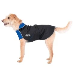 Chilly Dogs Alpine Blazer STANDARD -Wuff Wohnen Verkäufe cdalblbrb04