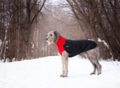 Chilly Dogs Great White North Long & Lean (extra Lang) -Wuff Wohnen Verkäufe cdgwnl lemo01