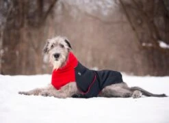 Chilly Dogs Great White North Long & Lean (extra Lang) -Wuff Wohnen Verkäufe cdgwnl lemo02