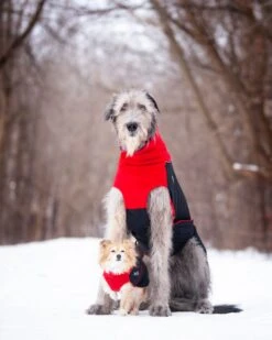 Chilly Dogs Great White North Long & Lean (extra Lang) -Wuff Wohnen Verkäufe cdgwnl lemo03