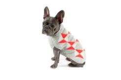 Alqo Wasi Hunde-Pullover Cheerful Argyle -Wuff Wohnen Verkäufe cheerful argyle coral alqo wasi 02