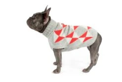 Alqo Wasi Hunde-Pullover Cheerful Argyle -Wuff Wohnen Verkäufe cheerful argyle coral alqo wasi 03
