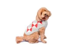 Alqo Wasi Hunde-Pullover Cheerful Argyle -Wuff Wohnen Verkäufe cheerful argyle coral alqo wasi 102028129
