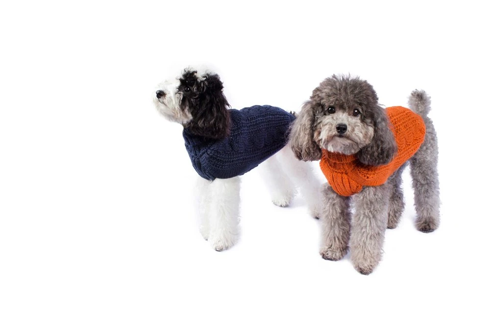 Alqo Wasi Hunde-Pullover Chunky Cable Knit Orange 5 Alqo Wasi Hunde-Pullover Chunky Cable Knit Orange – Bild 3