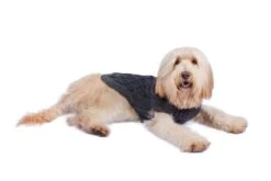 Alqo Wasi Hunde-Pullover Diamond Cable Knit - Charcoal 11 Alqo Wasi Hunde-Pullover Diamond Cable Knit - Charcoal -Wuff Wohnen Verkäufe chunky diamond alqo wasi 04 28129