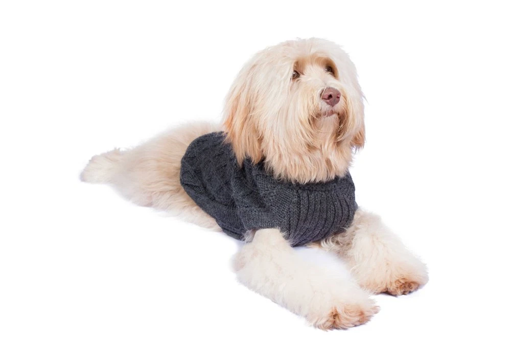 Alqo Wasi Hunde-Pullover Diamond Cable Knit - Charcoal 5 Alqo Wasi Hunde-Pullover Diamond Cable Knit - Charcoal – Bild 3