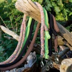 Dinoleine Baumwolle -Wuff Wohnen Verkäufe dinoleine baumwolle allcolours