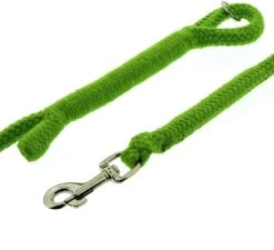 Dinoleine Baumwolle -Wuff Wohnen Verkäufe dinoleine baumwolle apfelgrC3BCn3