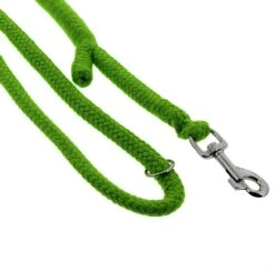 Dinoleine Baumwolle -Wuff Wohnen Verkäufe dinoleine baumwolle apfelgrC3BCn4