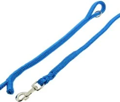 Dinoleine Polyester -Wuff Wohnen Verkäufe dinoleine nylon blau3