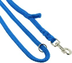 Dinoleine Polyester -Wuff Wohnen Verkäufe dinoleine nylon blau4