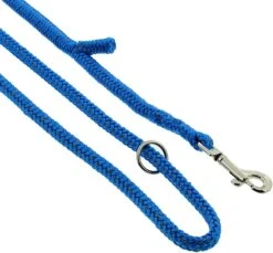 Dinoleine Reflex Polyester Mit Easy-Locking-System -Wuff Wohnen Verkäufe dinoleine reflex blau4