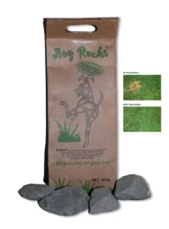 Dog Rocks Gegen Urinflecken