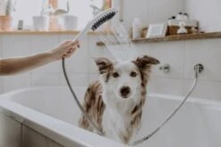 Hansgrohe DogShower 150 3jet