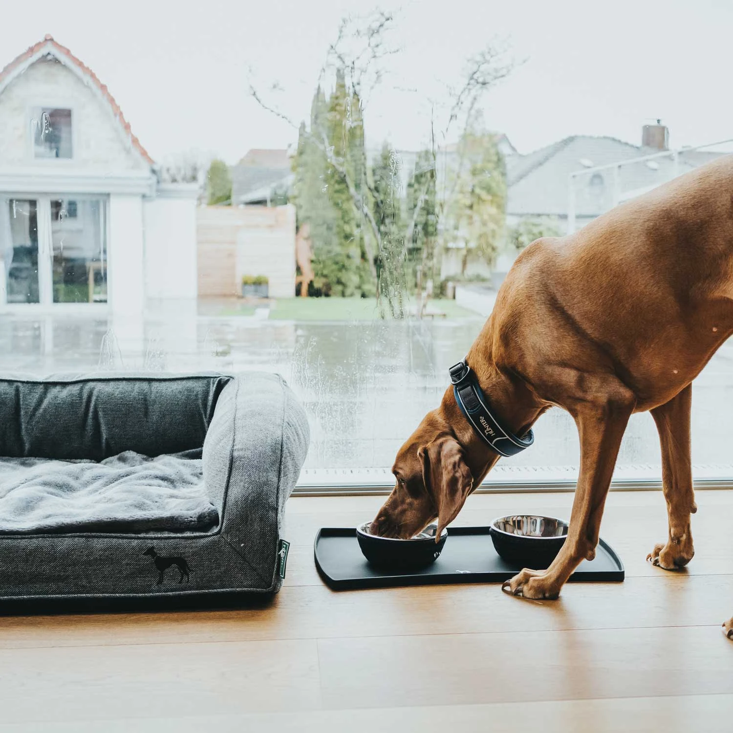 Hunter Futternapf Graz 6 Hunter Futternapf Graz – Bild 4