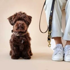 Hunter Verst. Führleine Solid Education Duo (Softvollrindleder) -Wuff Wohnen Verkäufe e HbdJhU 69069 002 live 21